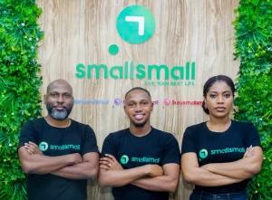 Smallsmall, a Nigerian Proptech Firm, Obtains $3 Million in Initial Funding to Support Local Development